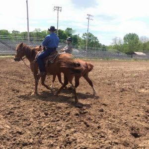 Pioneer City Rodeo Riding